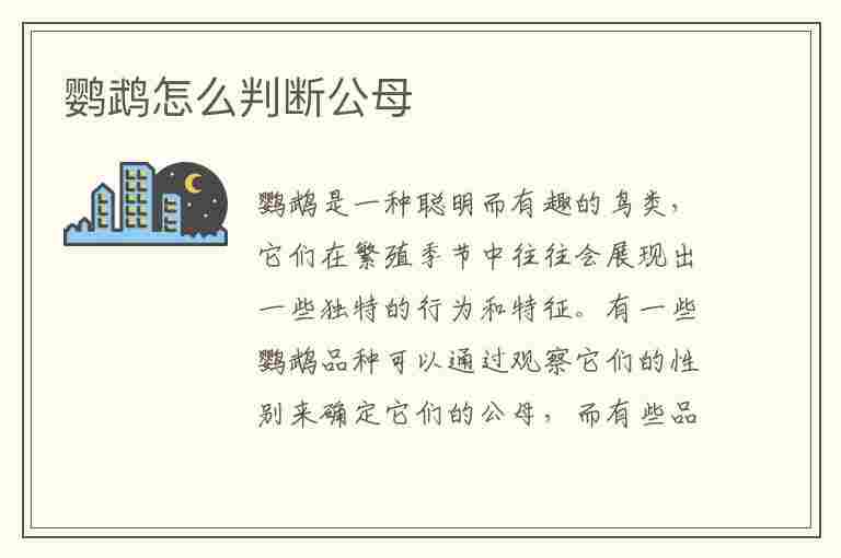 鹦鹉怎么判断公母(虎皮鹦鹉怎么判断公母)